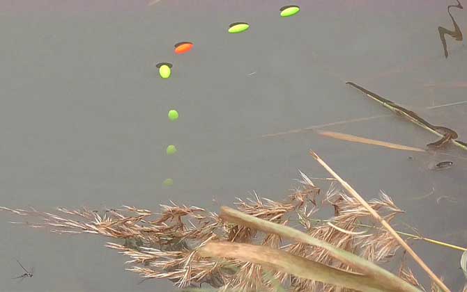 下午几点钓鱼最好?