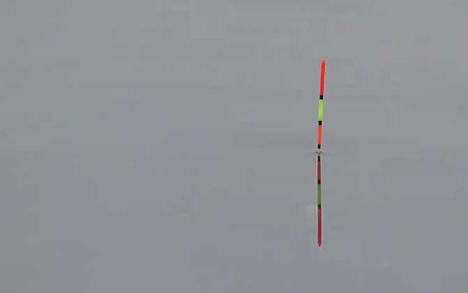 为什么钓半水容易上鱼？