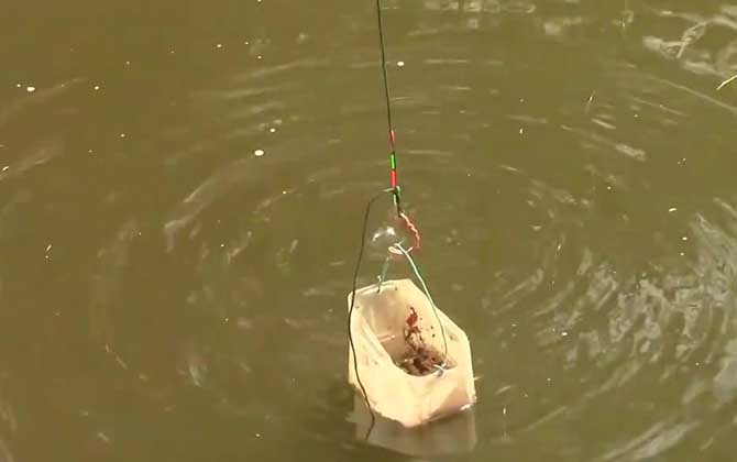 打窝一般多长时间聚鱼？