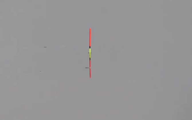 秋季钓鱼钓上风还是下风?