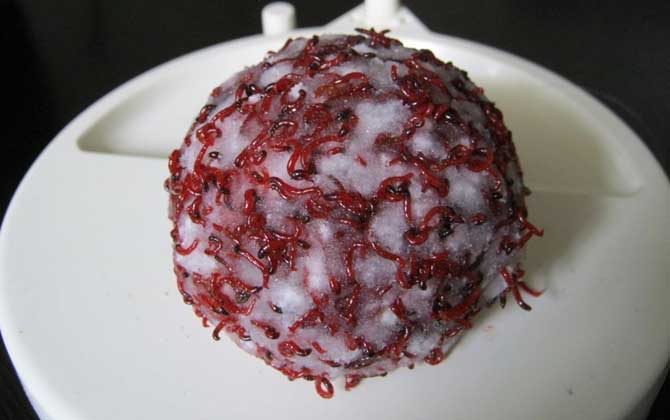 红虫拉饵怎么开饵效果才好