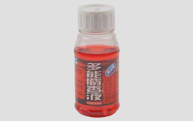 初冬钓鱼用什么小药好
