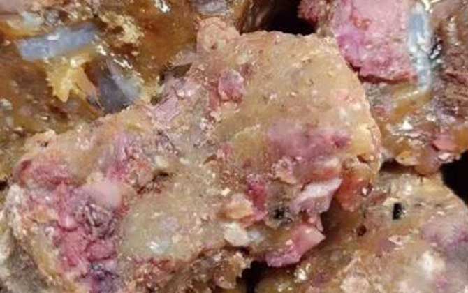 中药阿魏钓鱼怎么用效果好