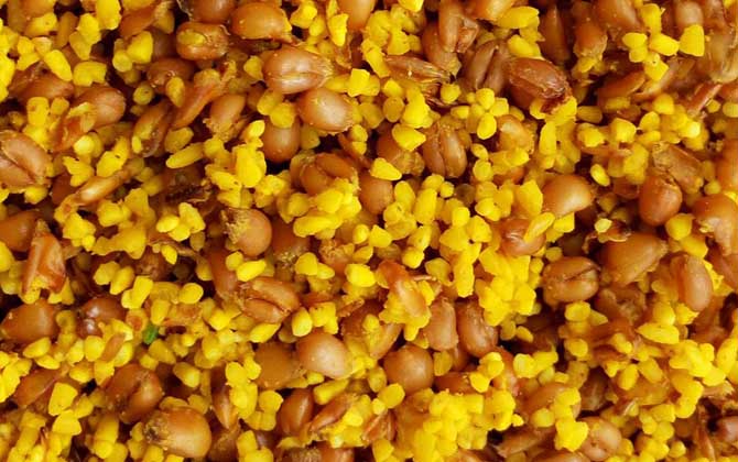 民间钓鱼窝料配方大全