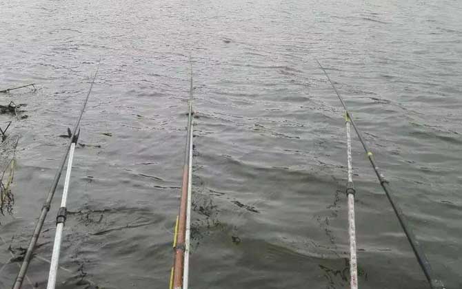 水库钓鱼用什么饵料