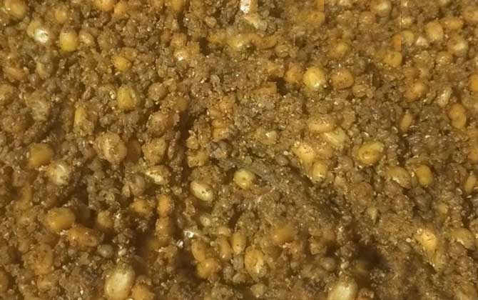 钓鱼窝料是什么意思