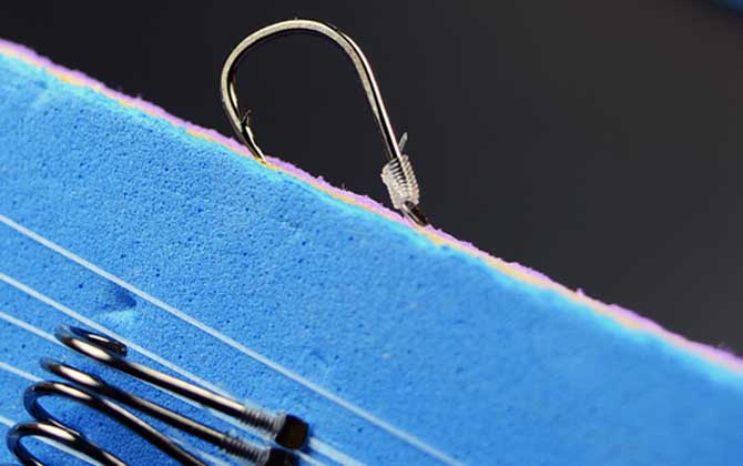 3.0子线能钓多大的鱼